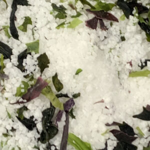pepper and salt epicerie sarlat sel algues 1