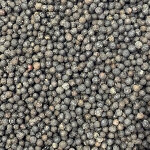 Baie Verveine