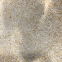 IMG_0277