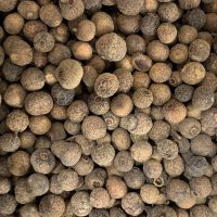 pepper and salt epicerie sarlat baie jamaique 1