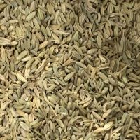 pepper and salt epicerie sarlat fenouil 1
