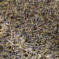 pepper and salt epicerie sarlat lavande 1