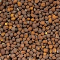 pepper and salt epicerie sarlat moutarde brune 1