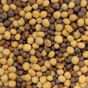pepper and salt epicerie sarlat moutarde duo 1
