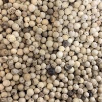 pepper and salt epicerie sarlat muntok blanc 1