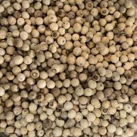 pepper and salt epicerie sarlat penja blanc 1