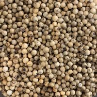pepper and salt epicerie sarlat penja blanc fume 1