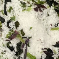 pepper and salt epicerie sarlat sel algues 1