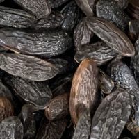 pepper and salt epicerie sarlat tonka 1